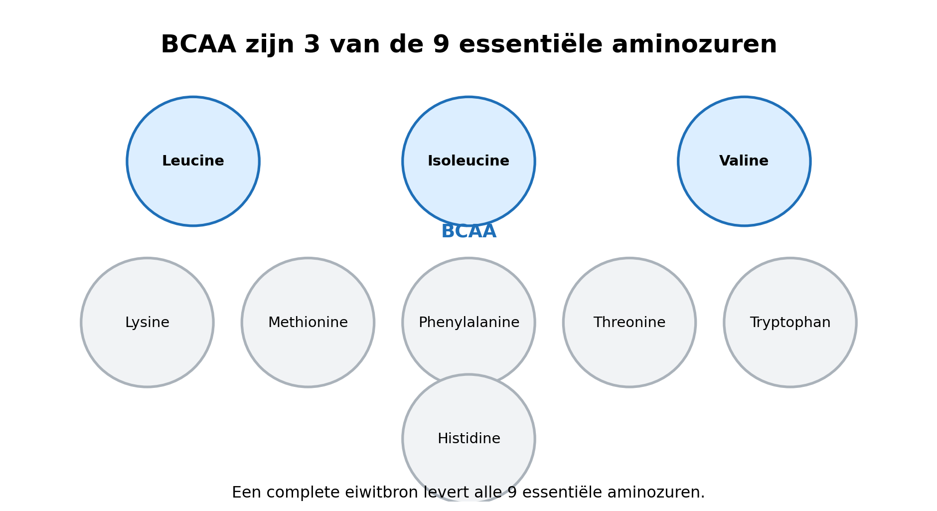 Infographic: BCAA (leucine, isoleucine, valine) zijn slechts 3 van de 9 essentiële aminozuren die het lichaam nodig heeft
