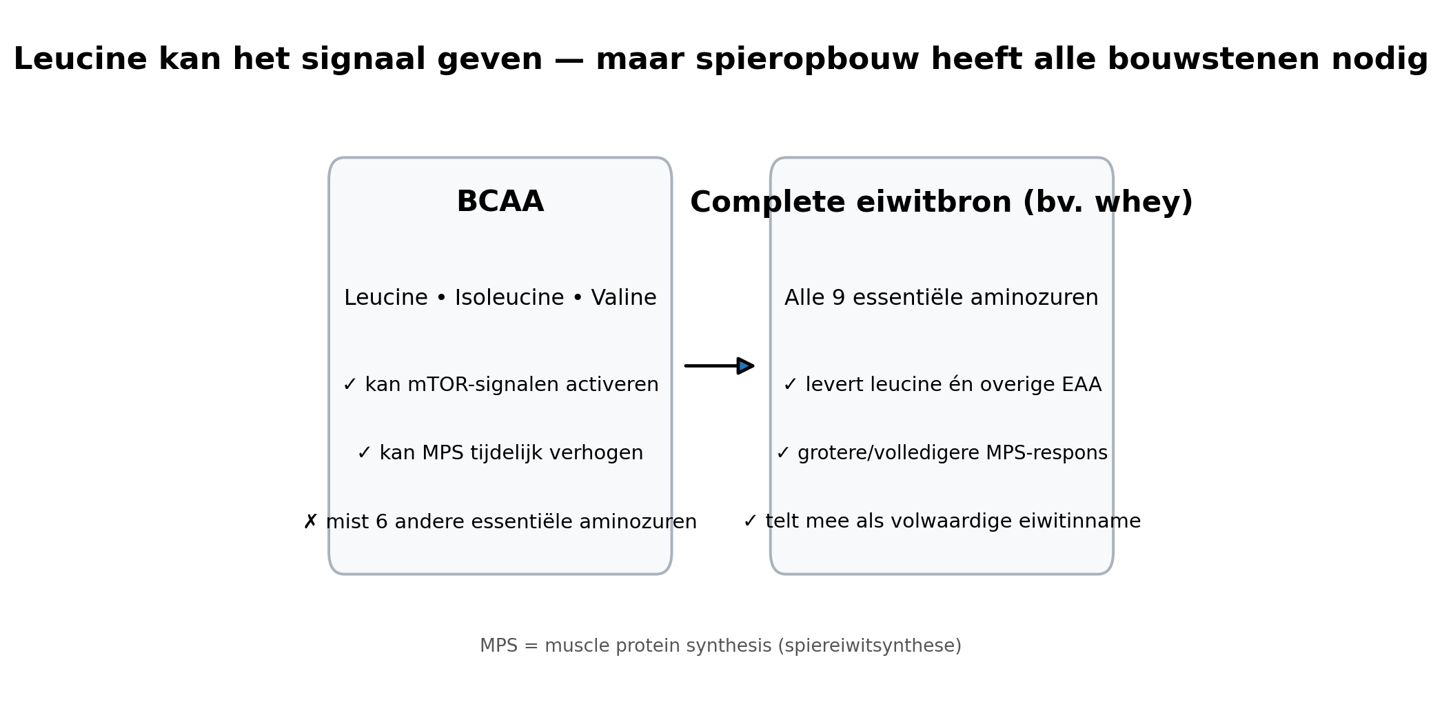 Vergelijking: BCAA kan mTOR-signaal en spiereiwitsynthese tijdelijk activeren, maar een complete eiwitbron zoals whey levert alle essentiële aminozuren en een vollediger MPS-respons